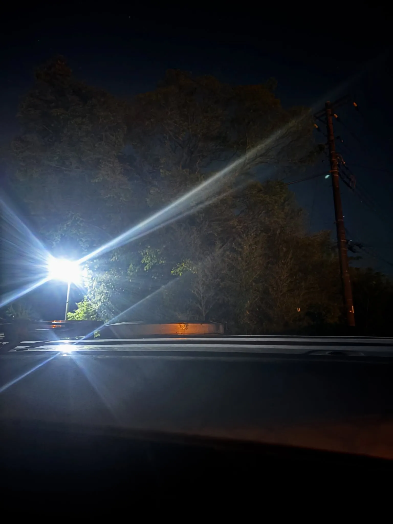 横須賀市にて、大切な家族の一員として愛されてきたうさぎちゃん...