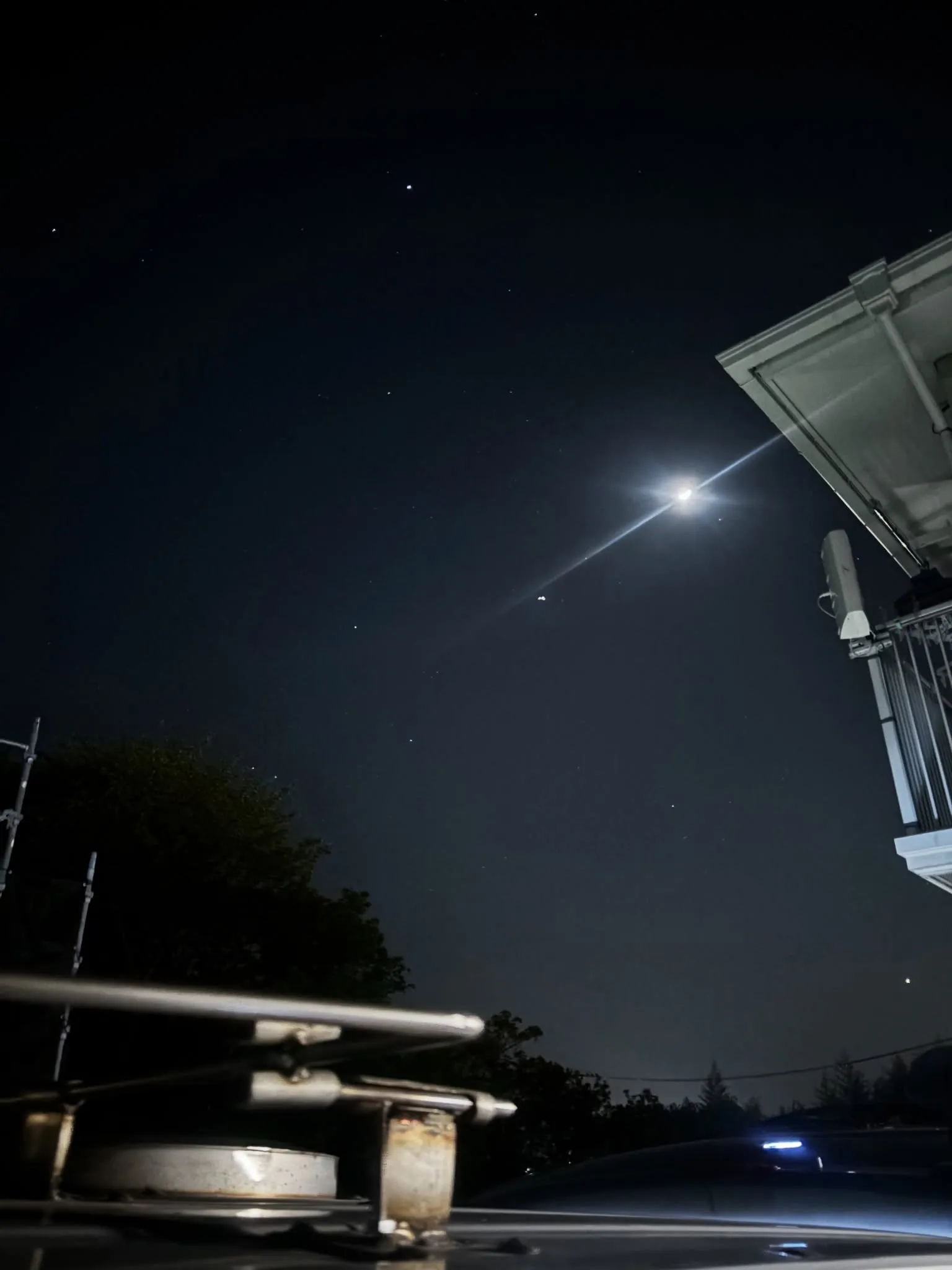 横須賀市にて、大切な家族の一員として愛されてきたうさぎちゃん...