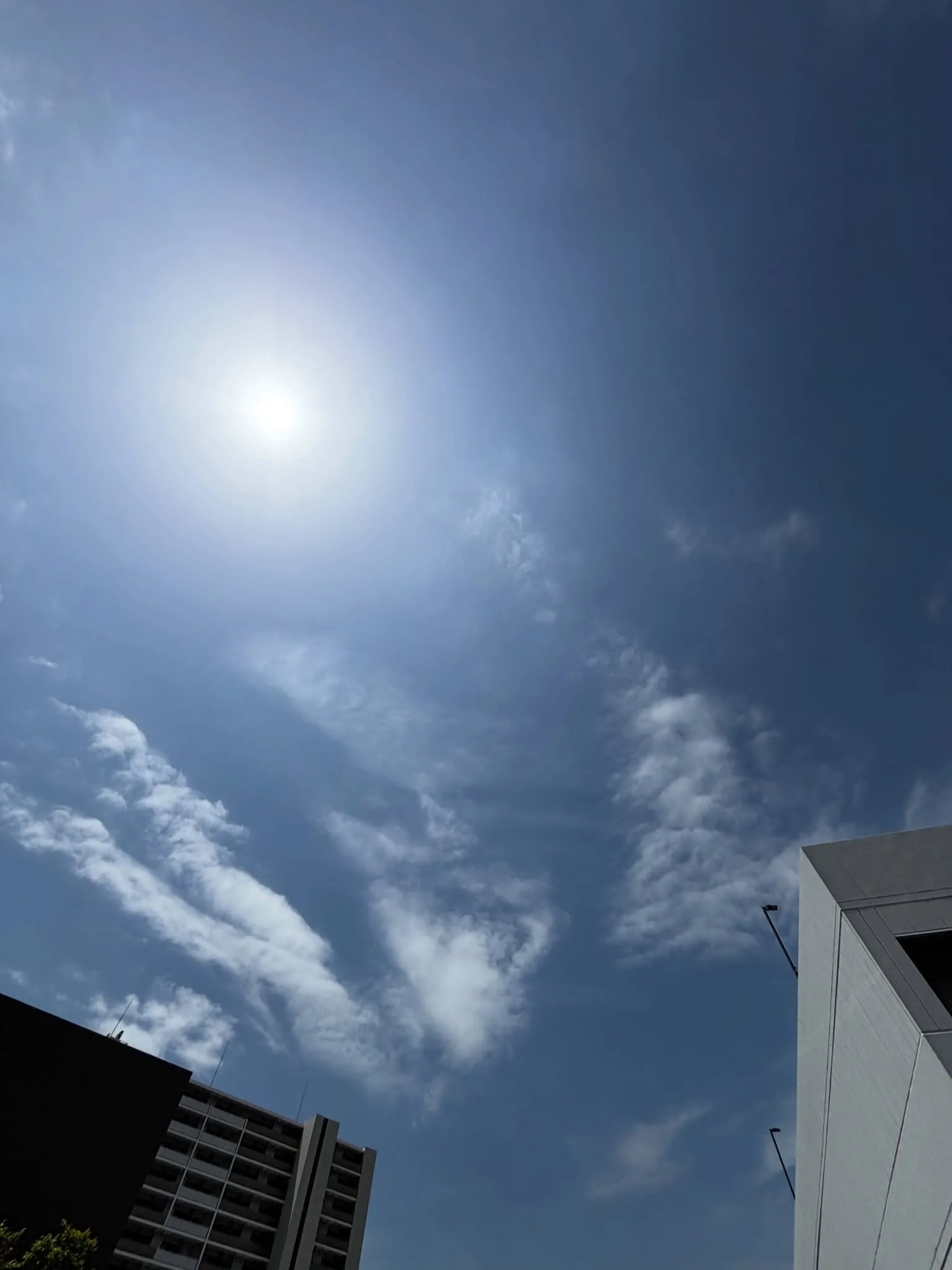 藤沢市にて、リピーター様の愛猫のペット火葬をお手伝いさせてい...