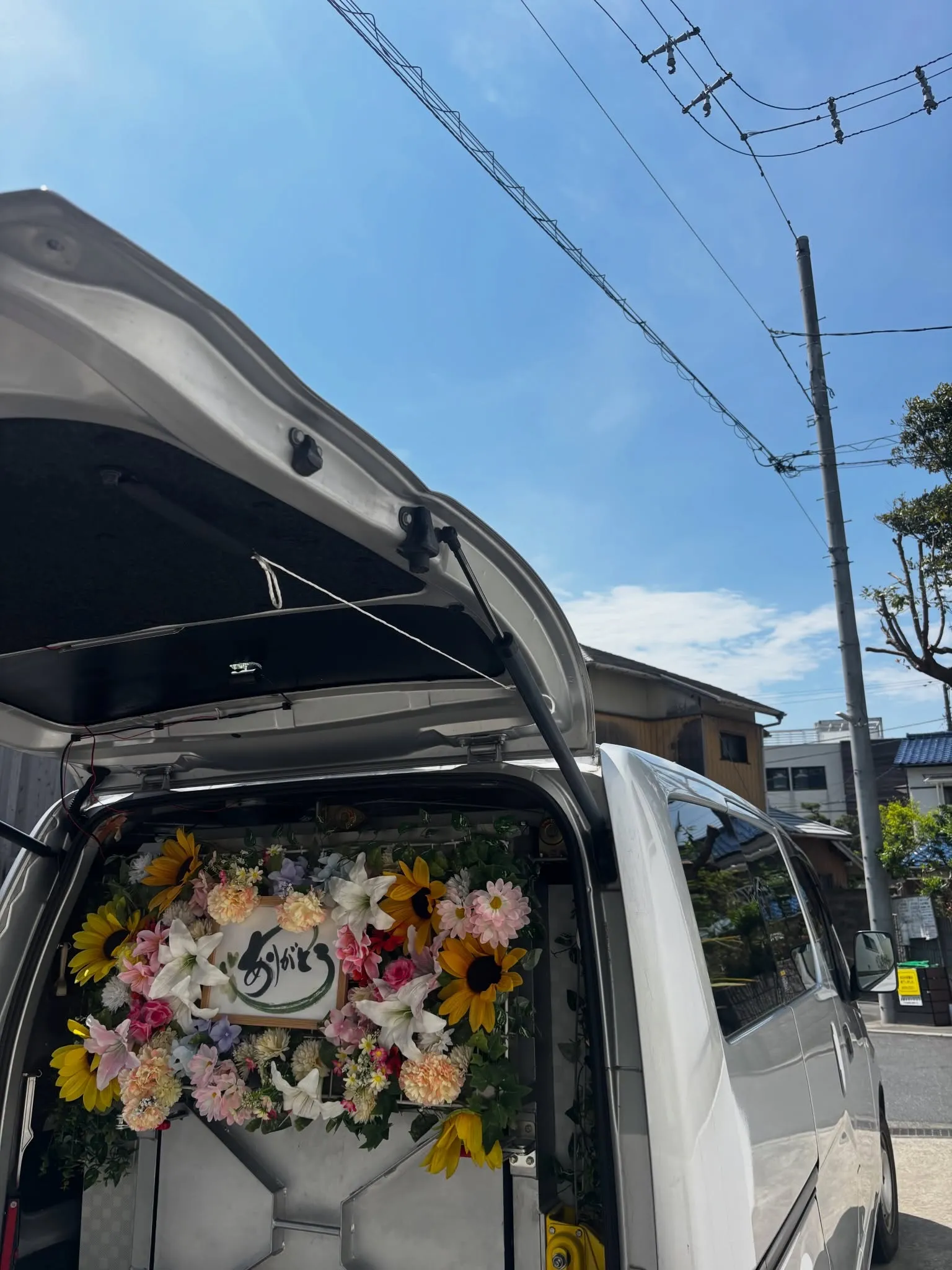 葉山町にて、大切な家族の一員として多くの愛情を注がれてきたわ...