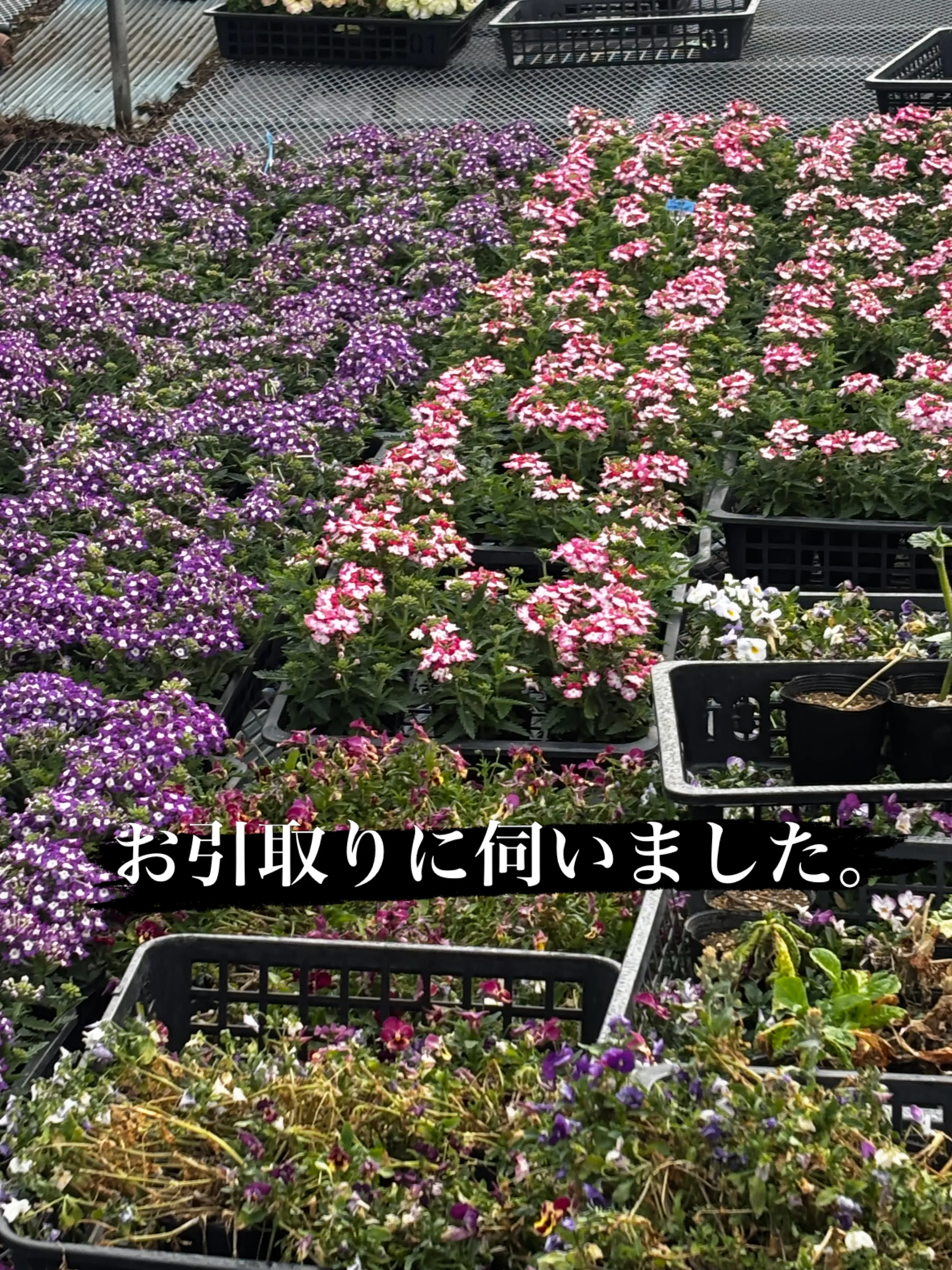 訪問ペット火葬サービス、ペットメモリアル神奈川は、ペット葬儀...