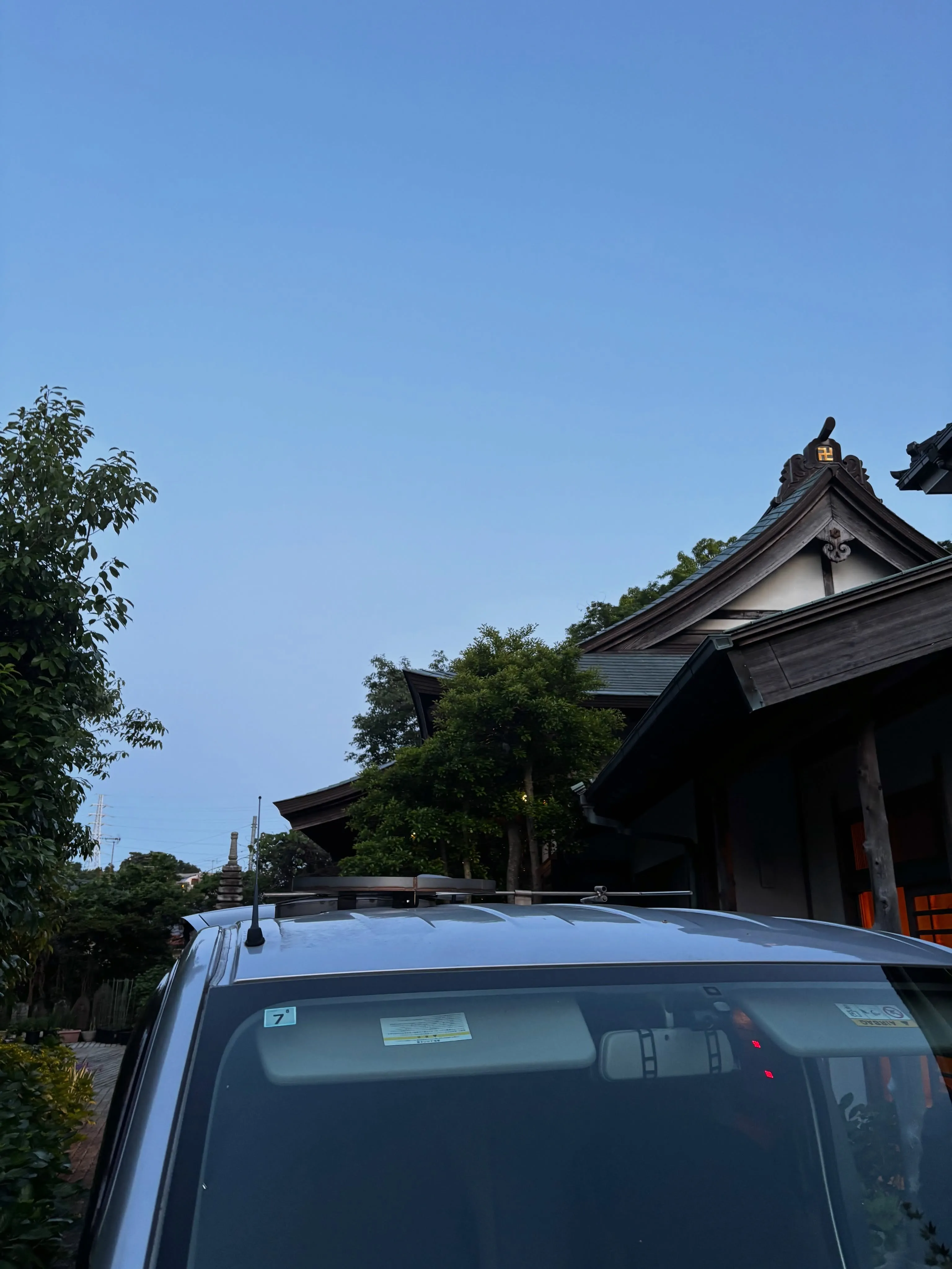 先日、非常に特別なご家族のもとで過ごされてきた猫ちゃんのペッ...