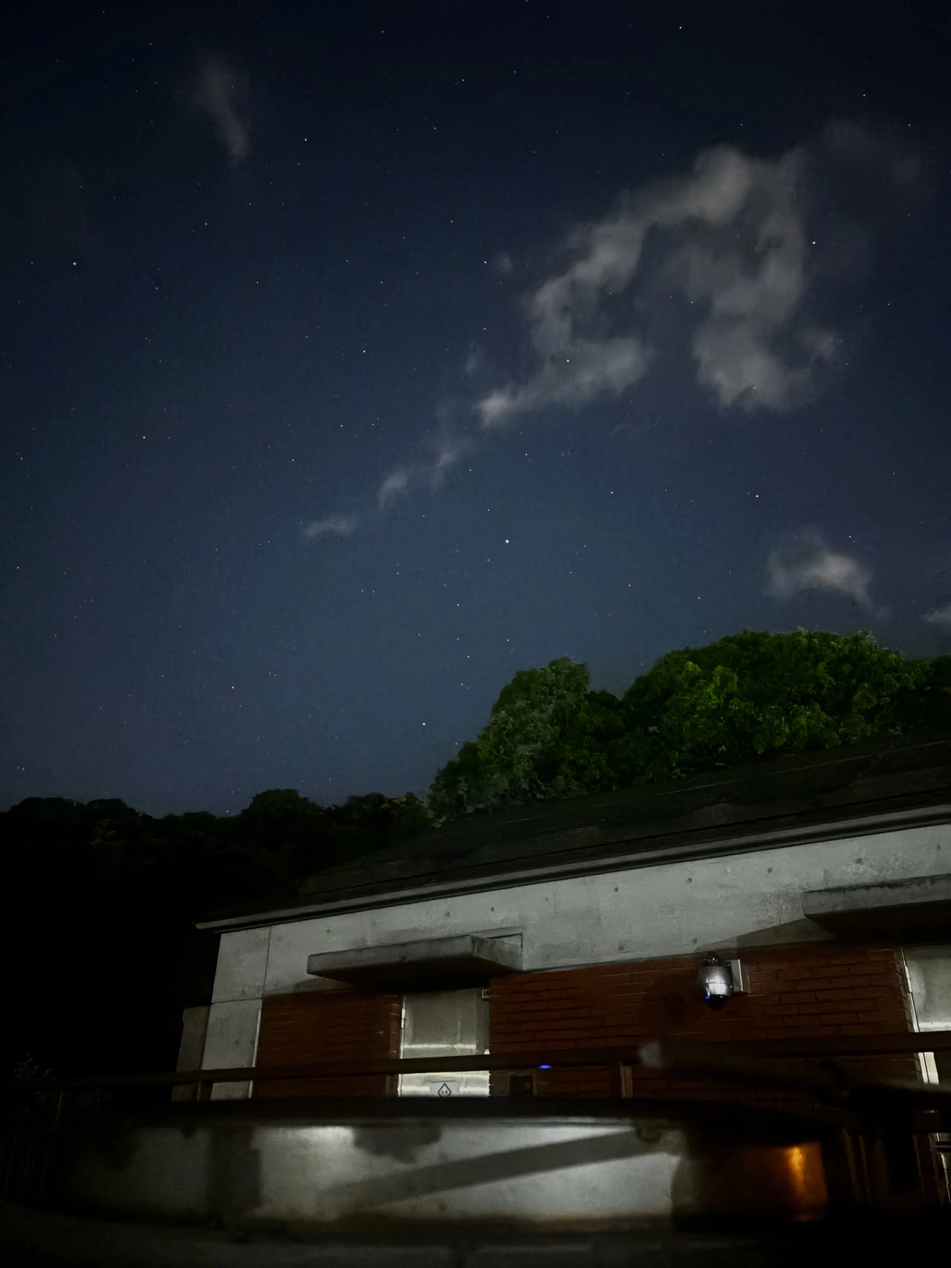 星が美しく輝く夜、私たちは葉山町で大切な猫ちゃんのペット火葬...