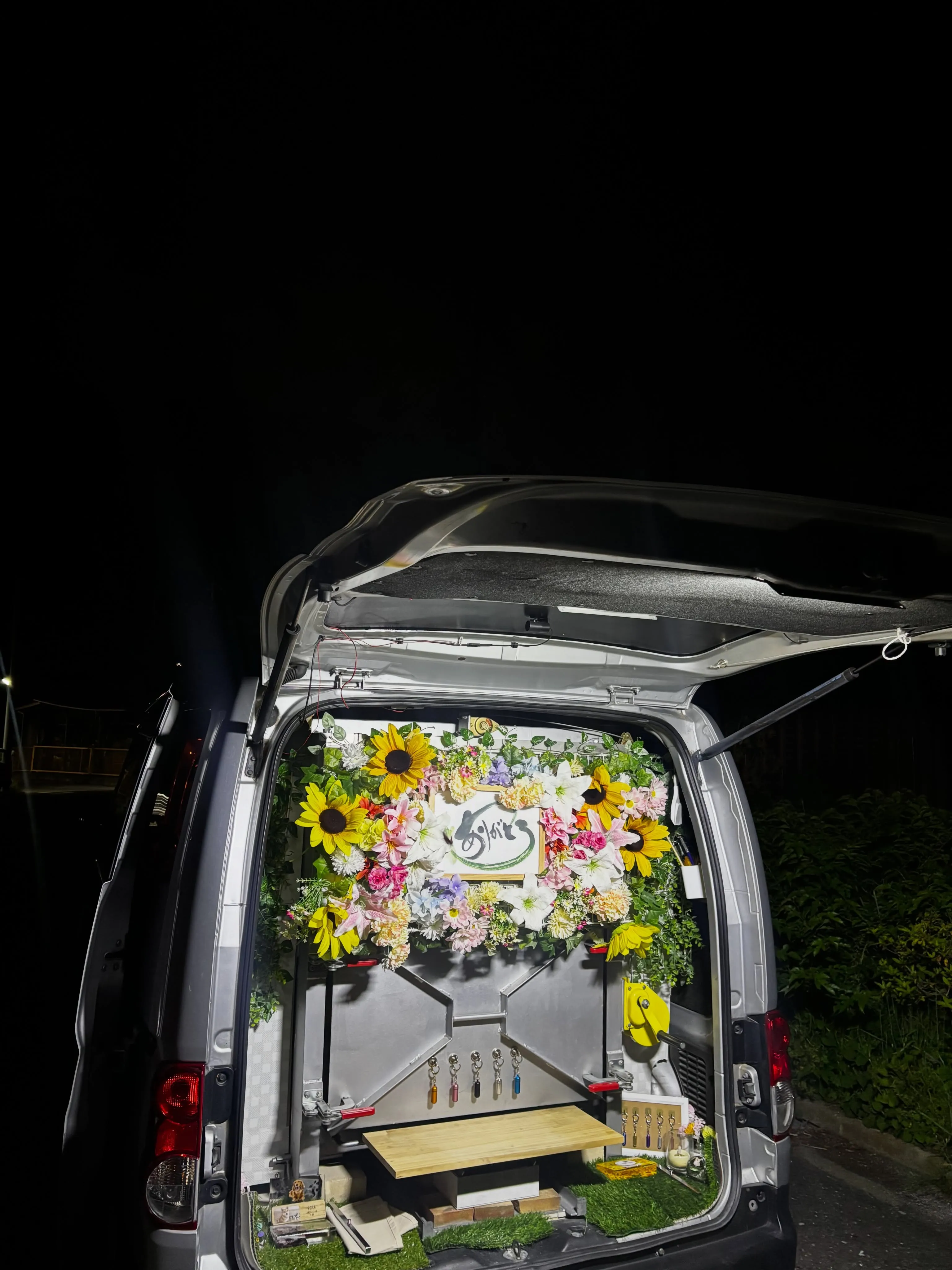 星が美しく輝く夜、私たちは葉山町で大切な猫ちゃんのペット火葬...