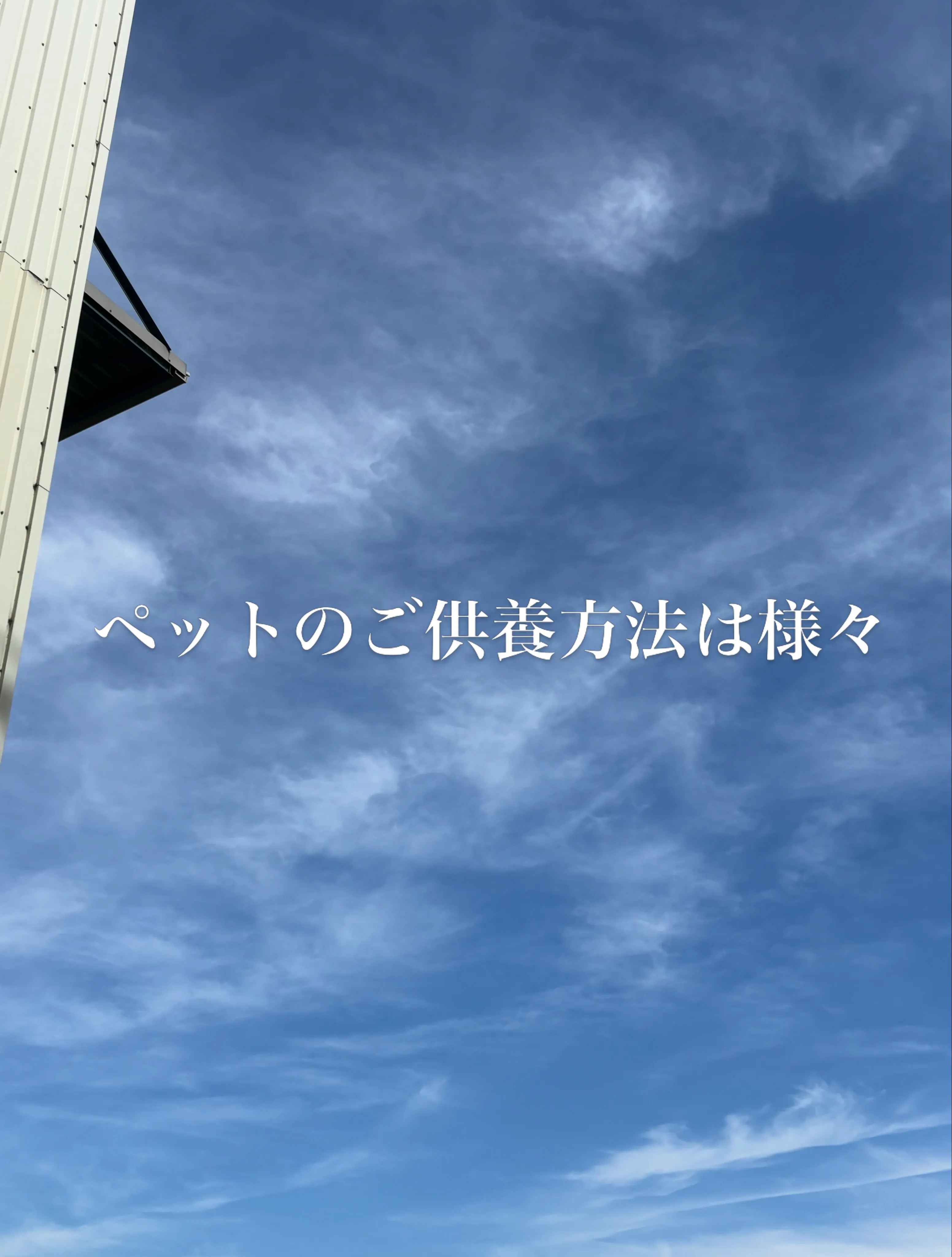 納骨は絶対にしなければならない、という決まりはありません。