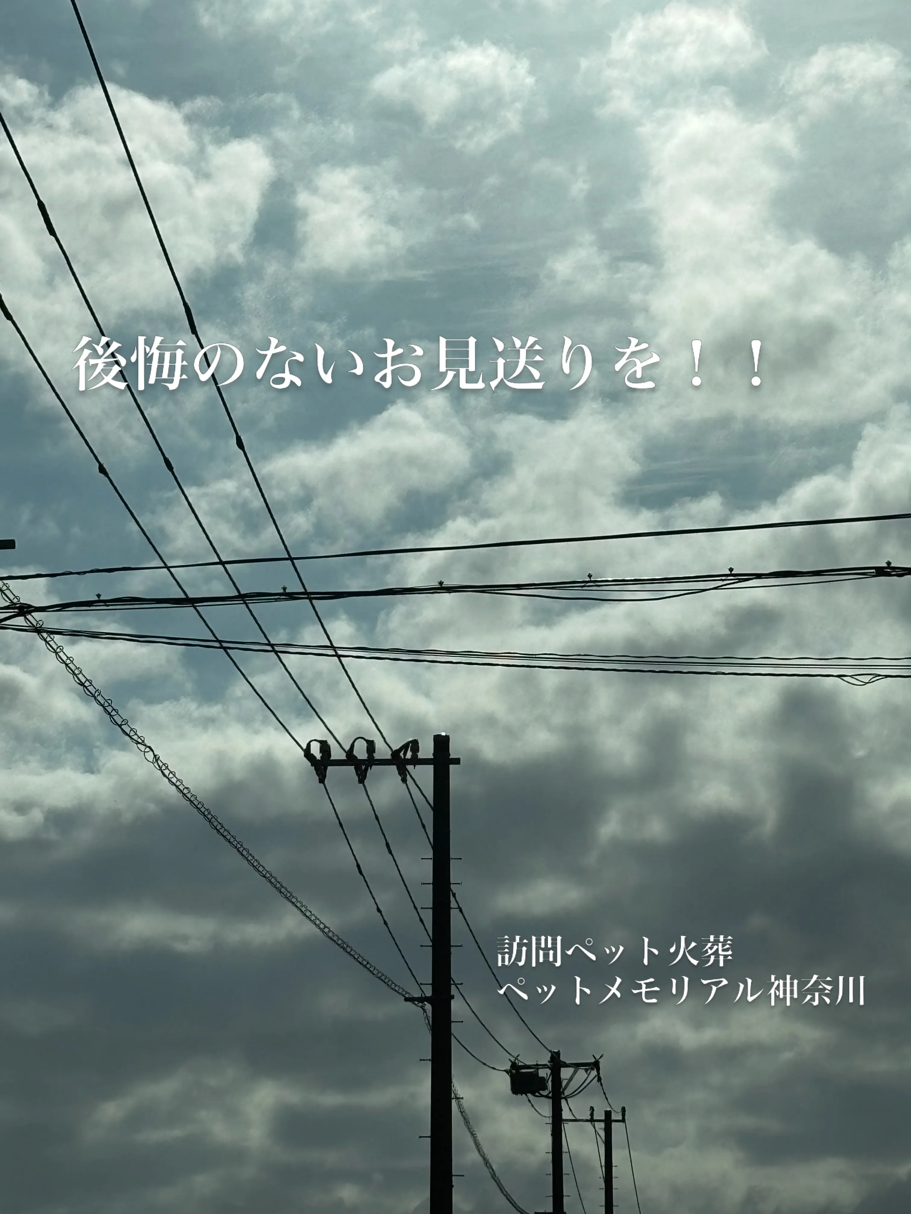今日の天気はあいにくでしたが、横浜市金沢区で小さな家族の一員...