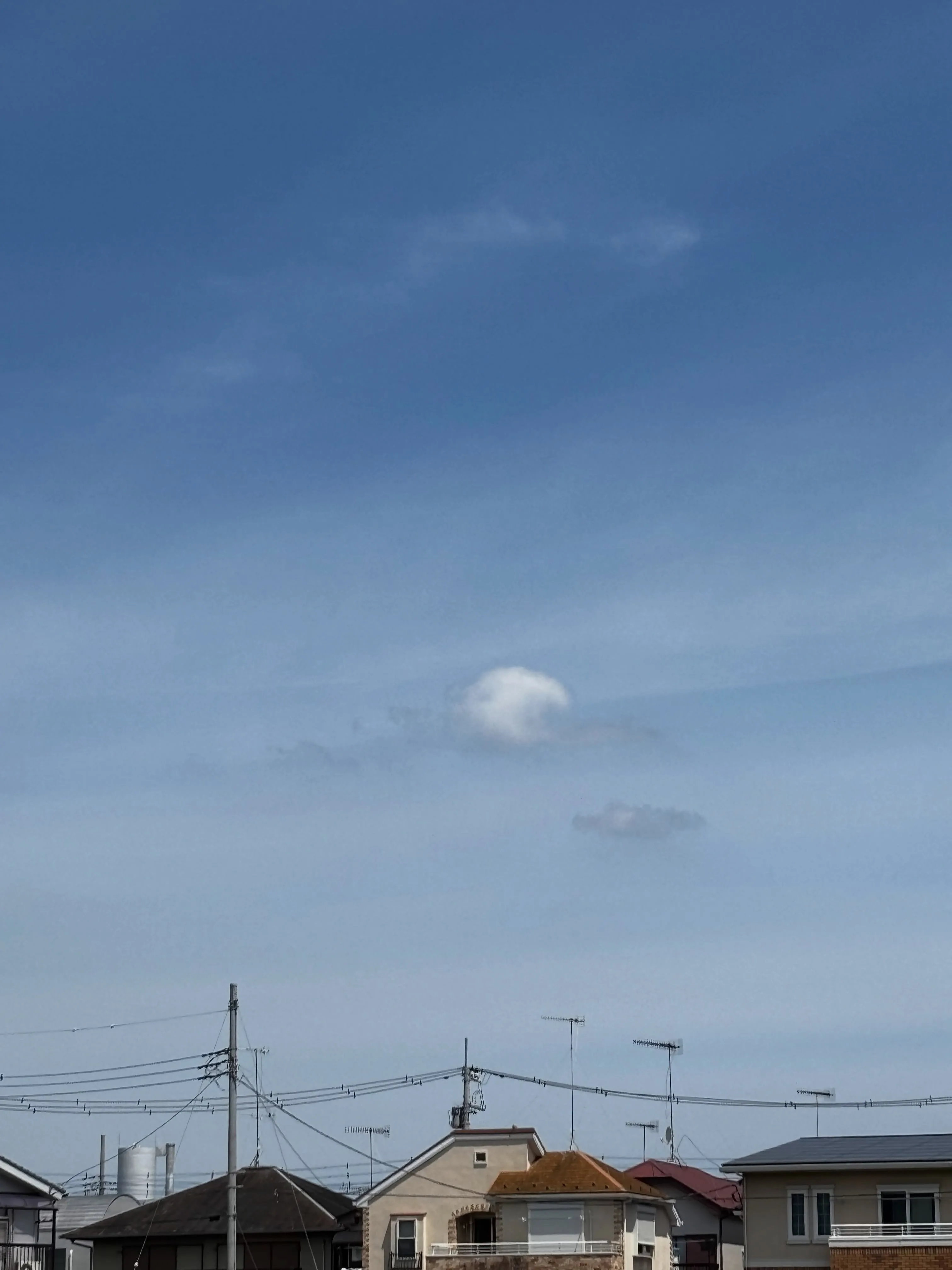 ペットとのお別れは、心に重くのしかかる瞬間かもしれません。