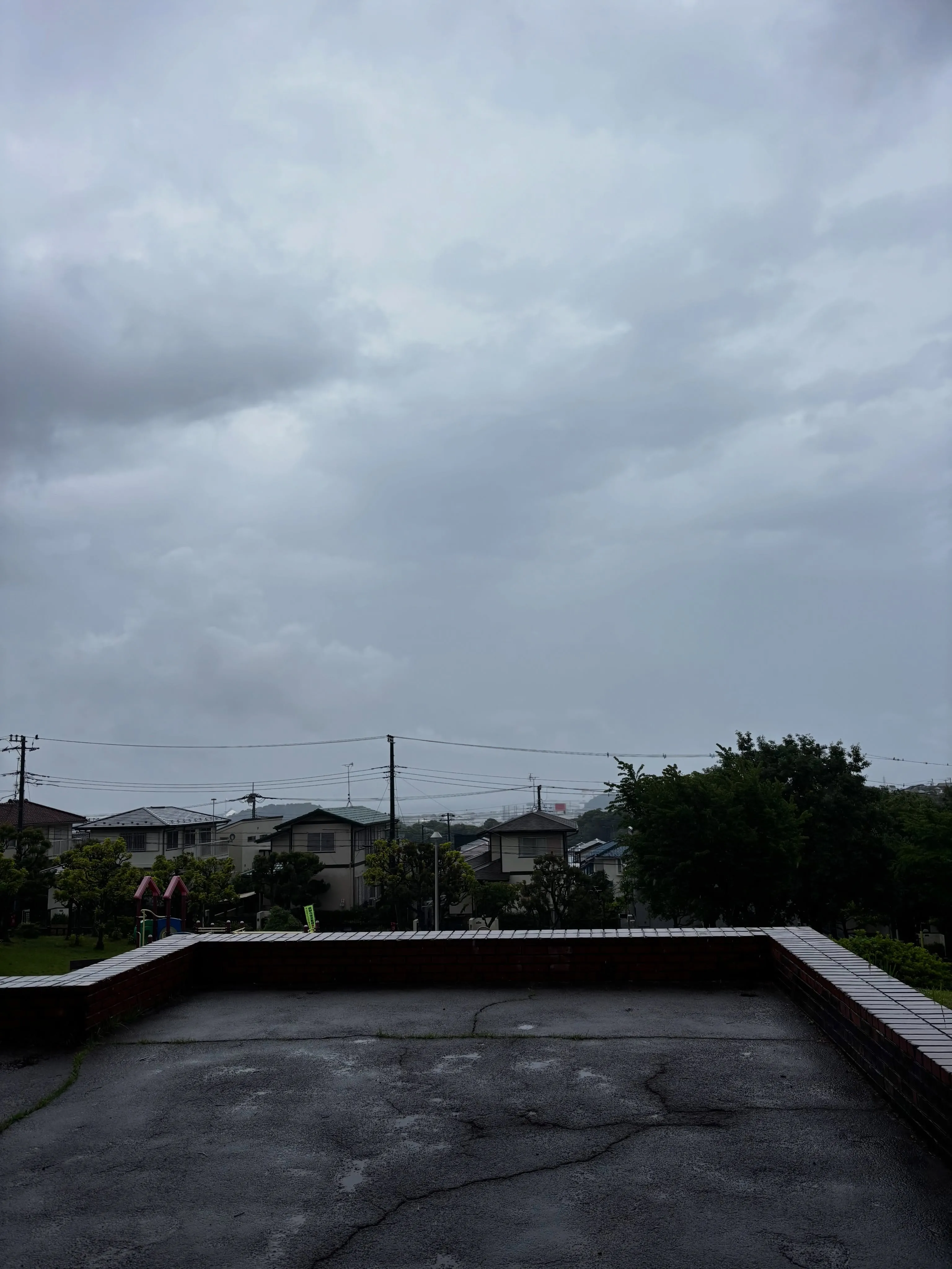 雨が降る中ではありましたが、横須賀市湘南鷹取にてわんちゃんの...