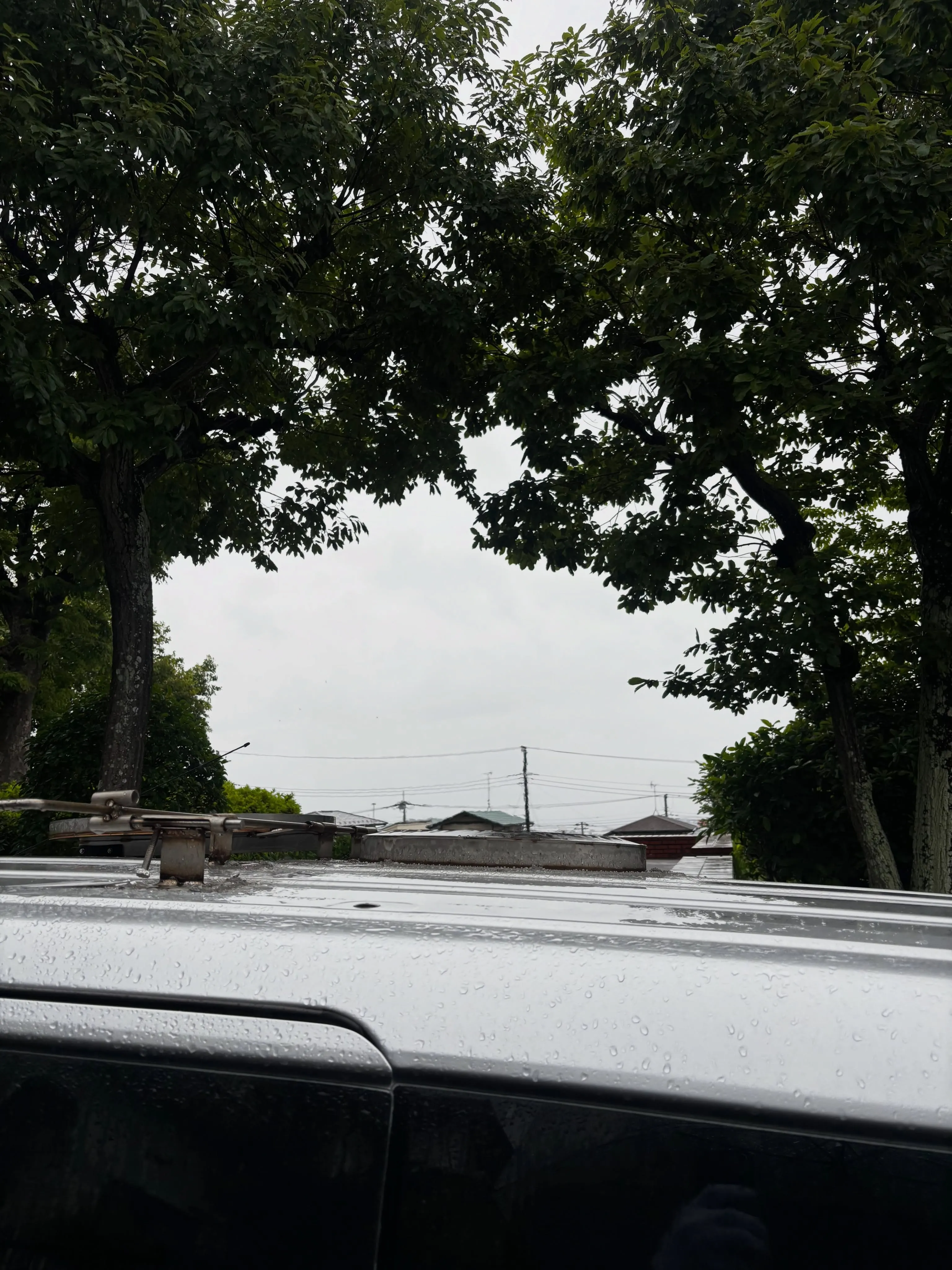 雨が降る中ではありましたが、横須賀市湘南鷹取にてわんちゃんの...