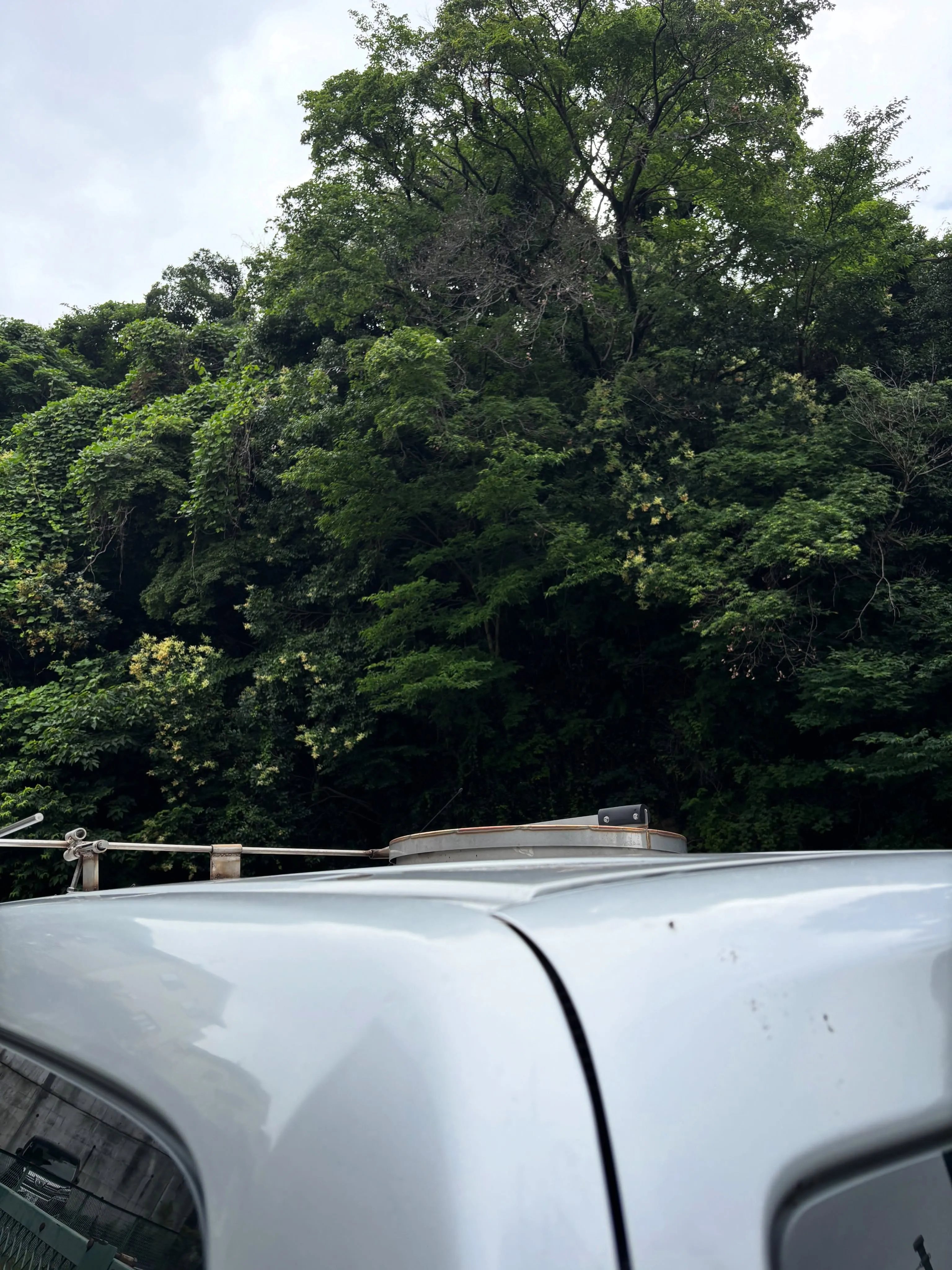 小さな仲間にありがとうとさようならを。