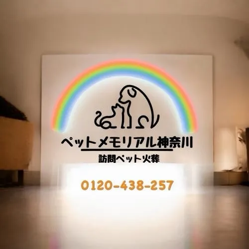 小さな命の旅立ちをお手伝いしました。