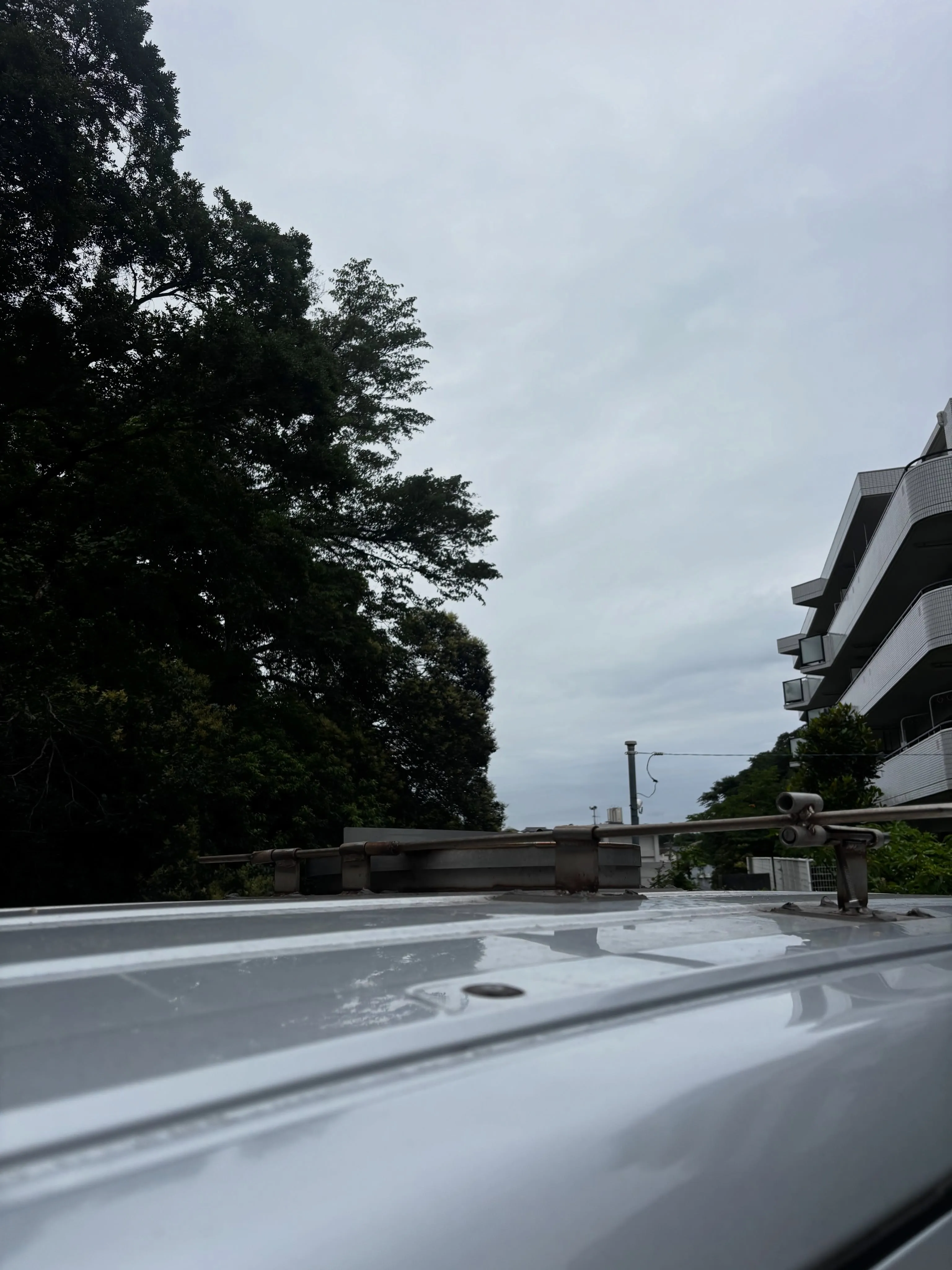大切な家族の一員だったハムスターちゃんの旅立ちをお手伝いしま...