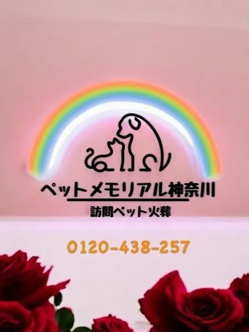 小さな命を見送る瞬間に立ち会わせていただきました。