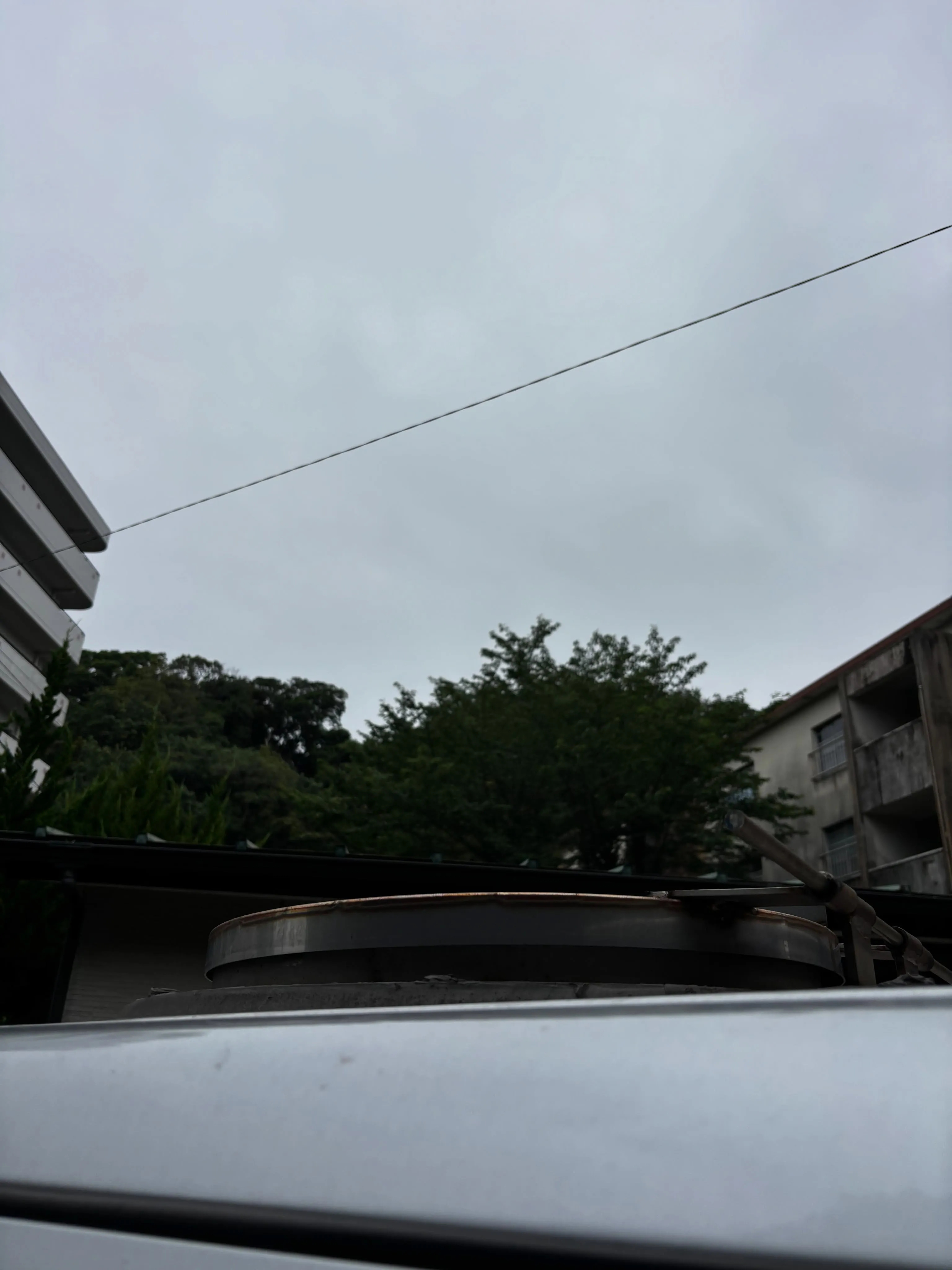 小さな命の旅立ちに、共にお付き合いさせていただきました。