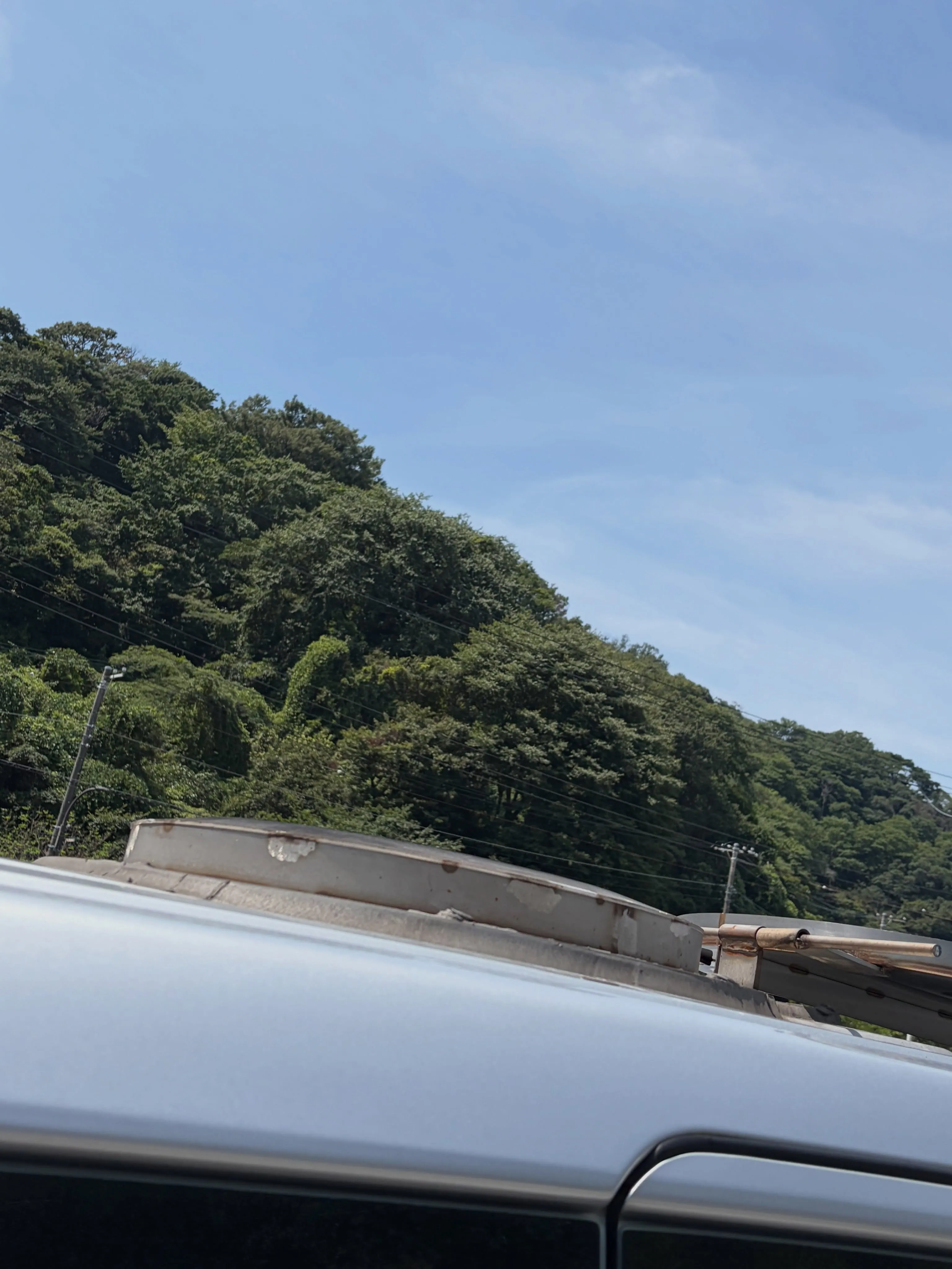 逗子市にて、心優しいうさぎさんのペット火葬のお手伝いをさせて...