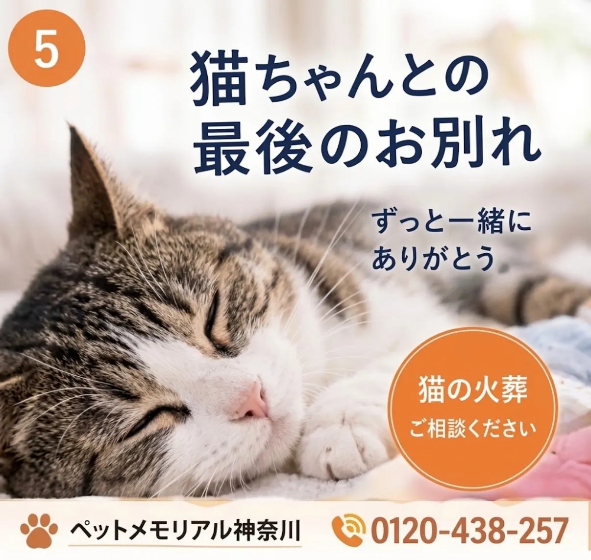 猫ちゃんとの最後のお別れ