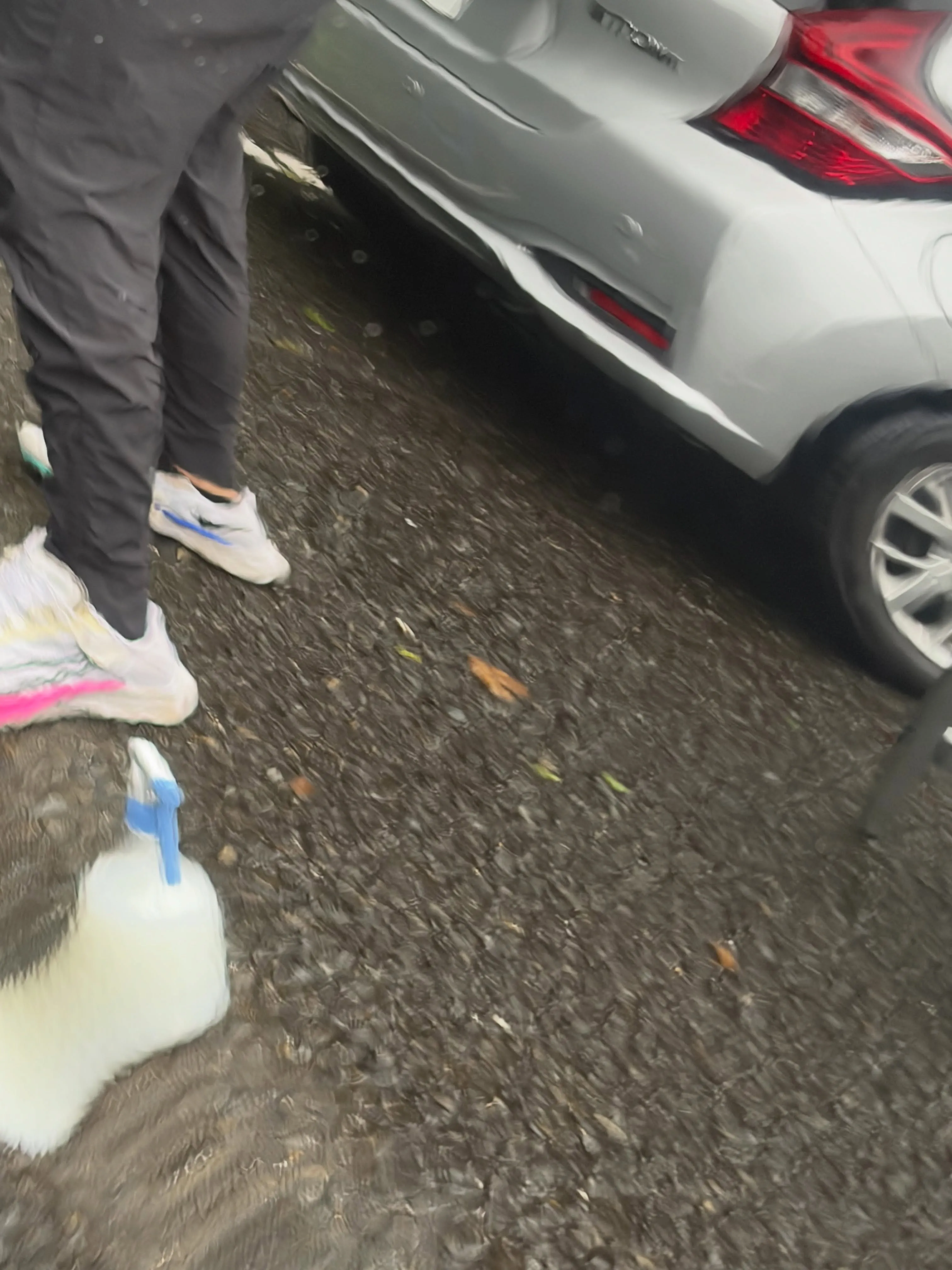 出張洗車に来ていただきました。