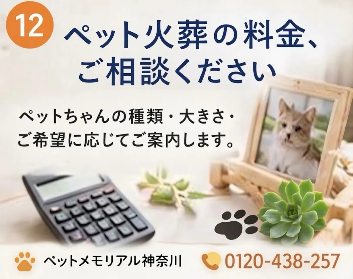 ペット火葬の料金が心配な方へ