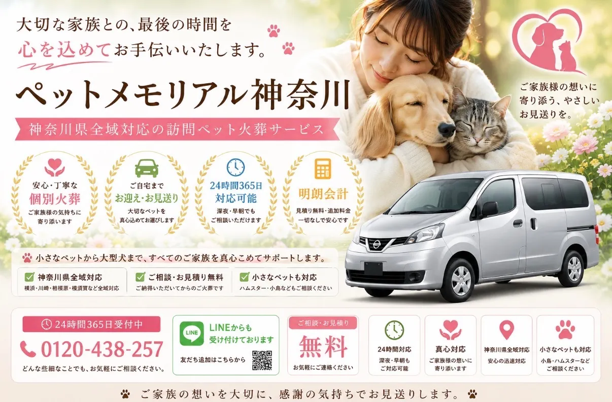 ペット火葬の低料金プランを神奈川県横須賀市で安心丁寧に利用する方法