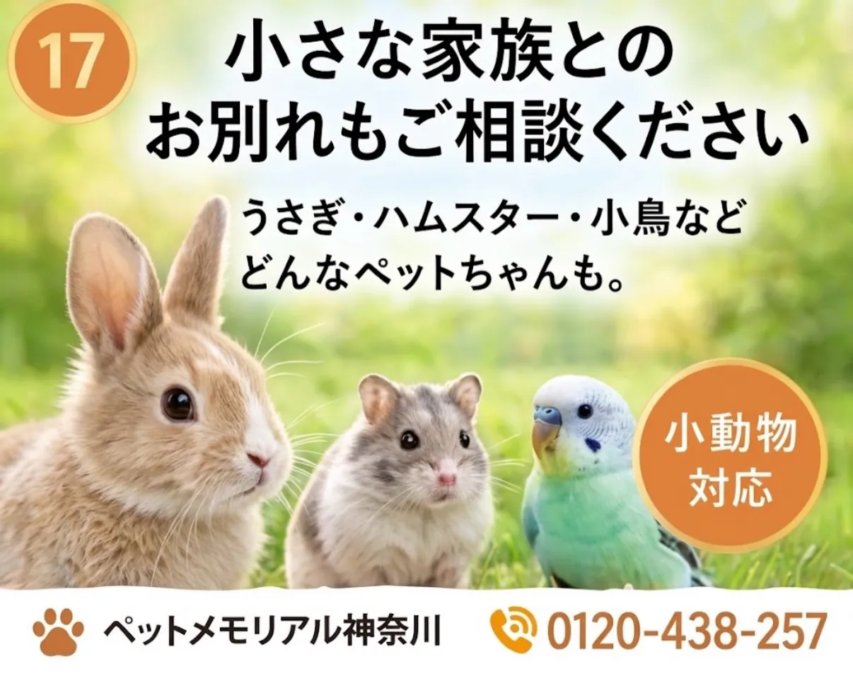 小さなペットちゃんの火葬について