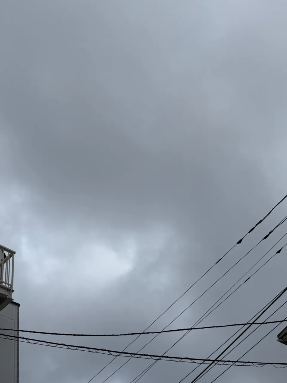 ペット供養サービスを利用し葉山町で安心できる最後のお別れを叶える方法