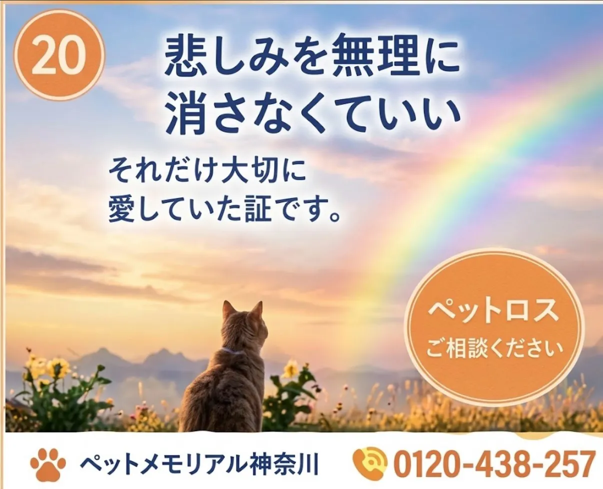 ペットロスについて
