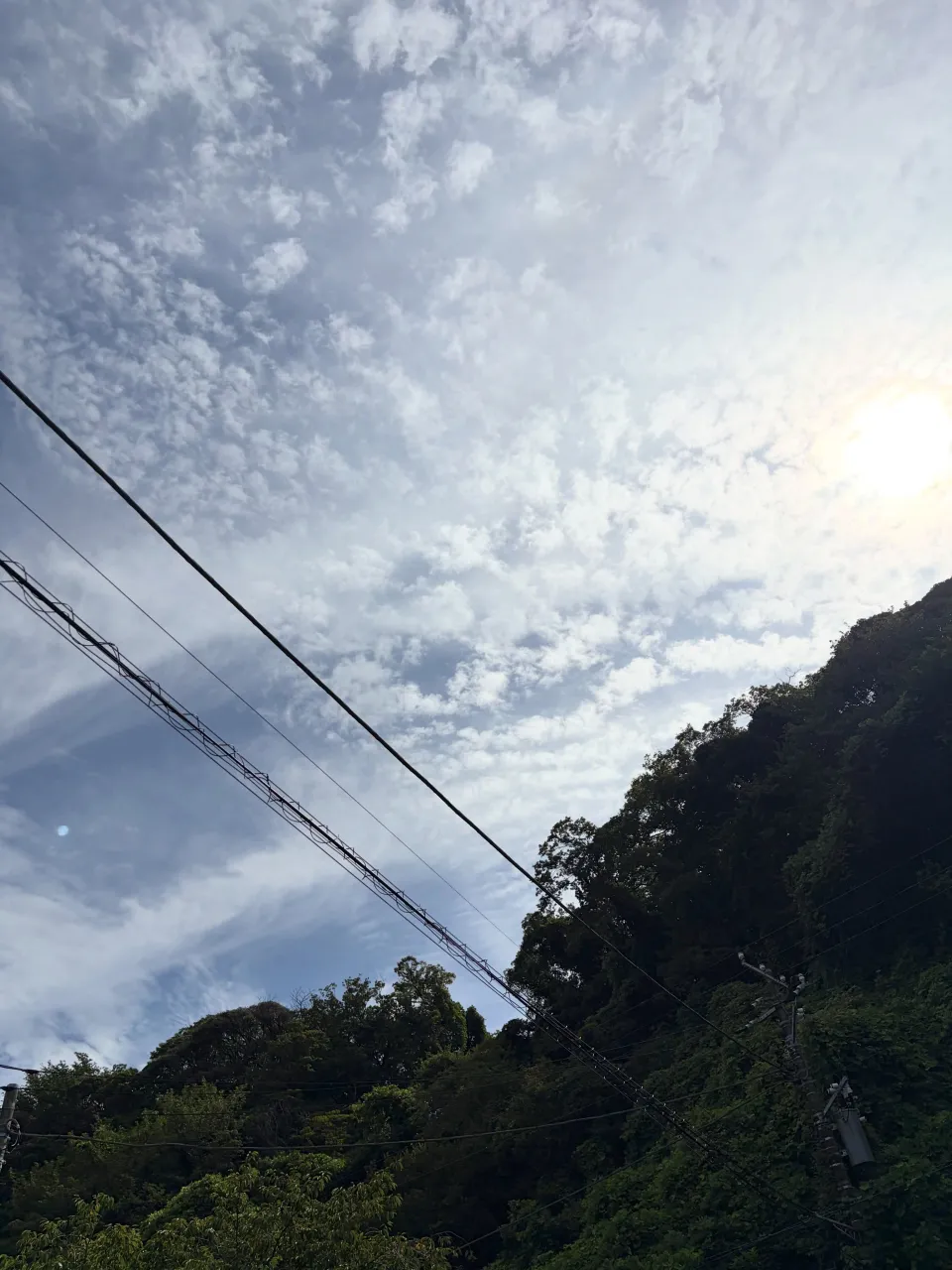 小さな命との別れに寄り添いました。