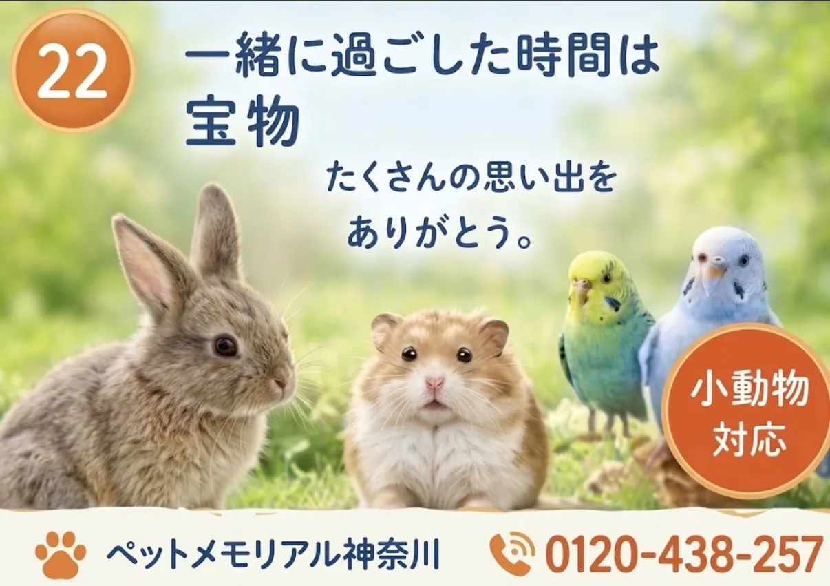 ペットちゃんとの思い出