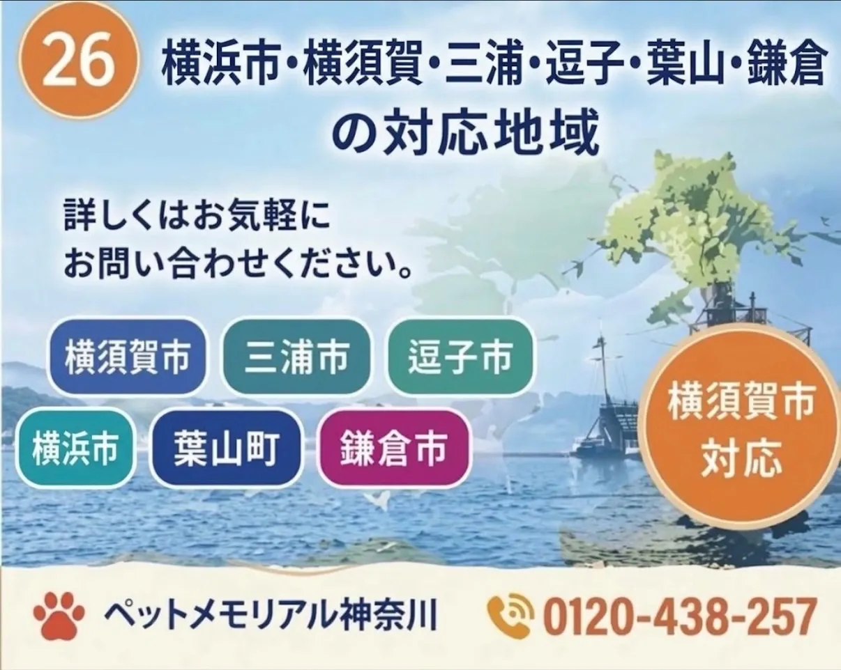 横浜市、横須賀市・三浦市・逗子市・葉山町・鎌倉市へ