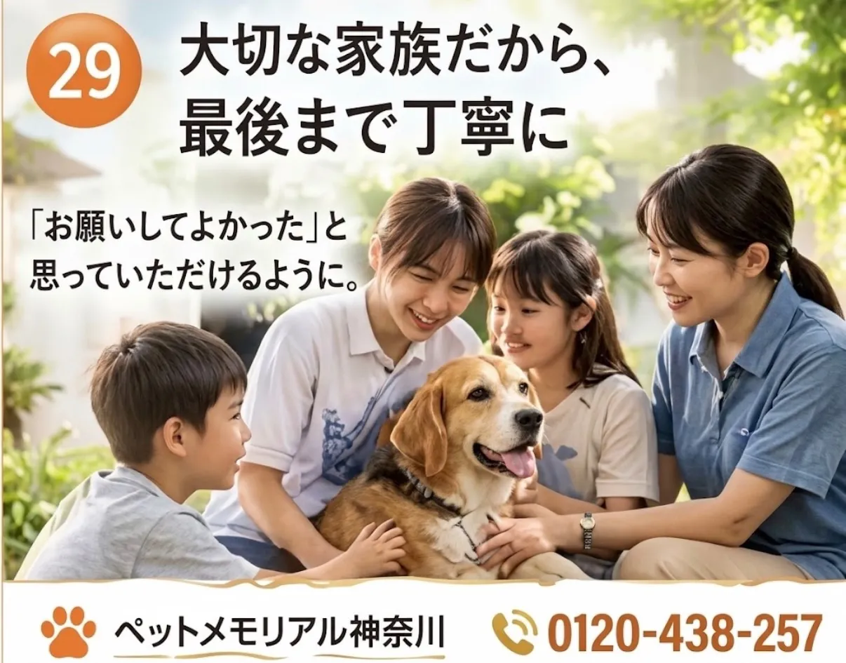 大切な家族だから、最後まで丁寧に