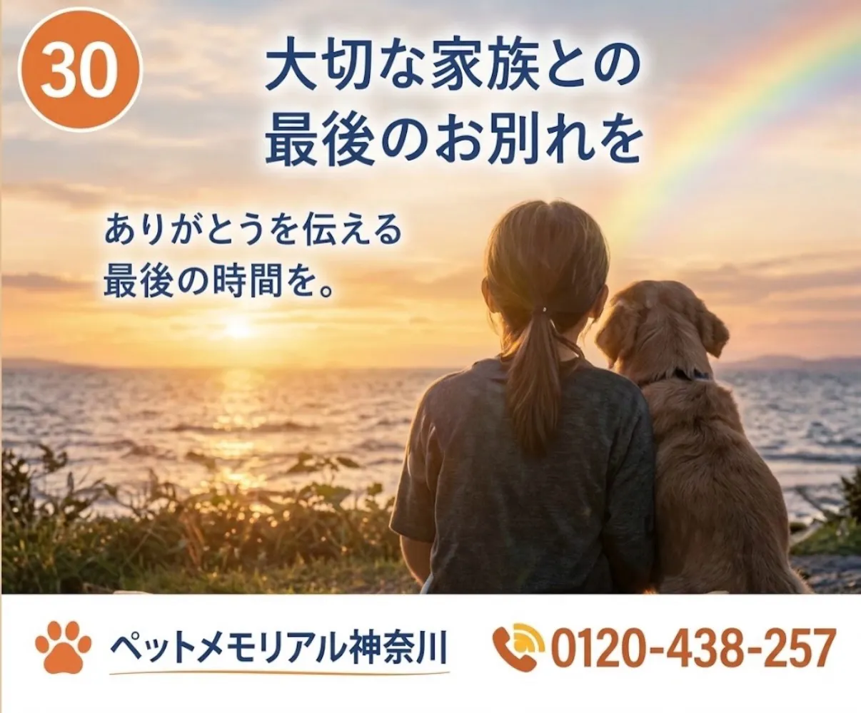 大切な家族との最後のお別れ