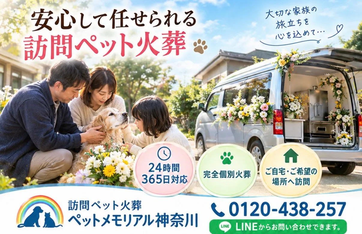 🌈 大切な家族との最後の時間を、心を込めて