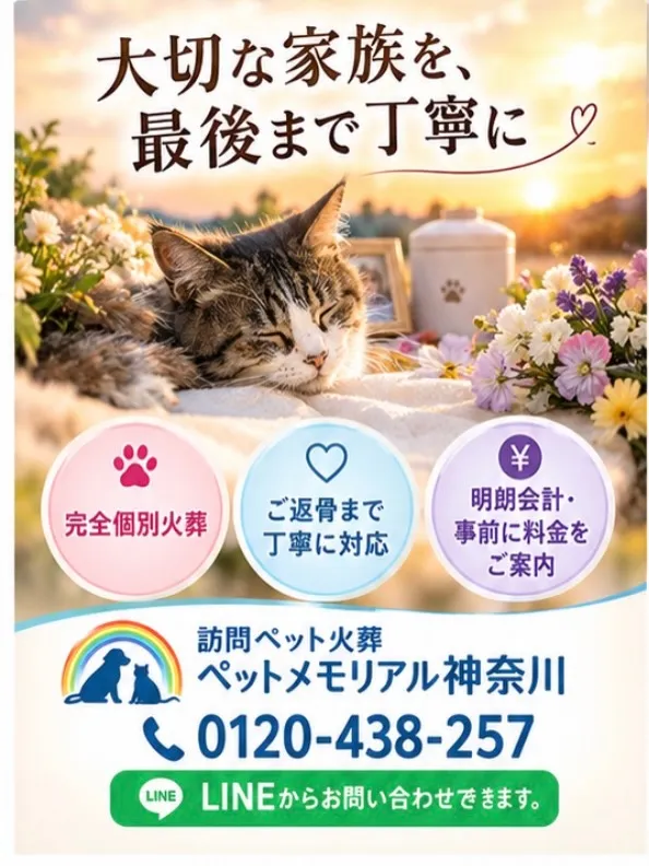 🐱 逗子市にて、猫ちゃんのペット火葬のお手伝いをさせていただ...