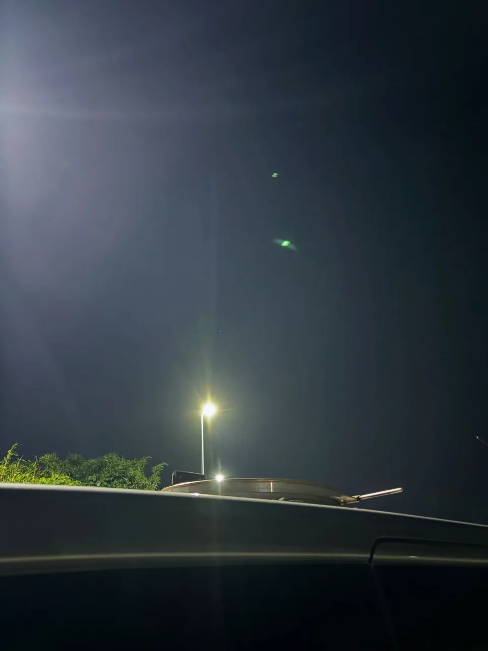 ペットとの思い出を大切に。