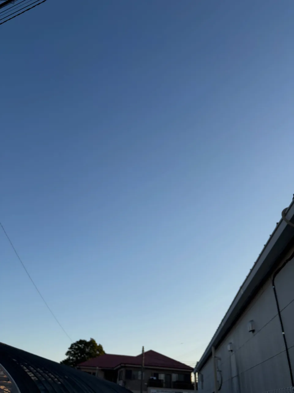 短い別れのお手伝いをいたしました。