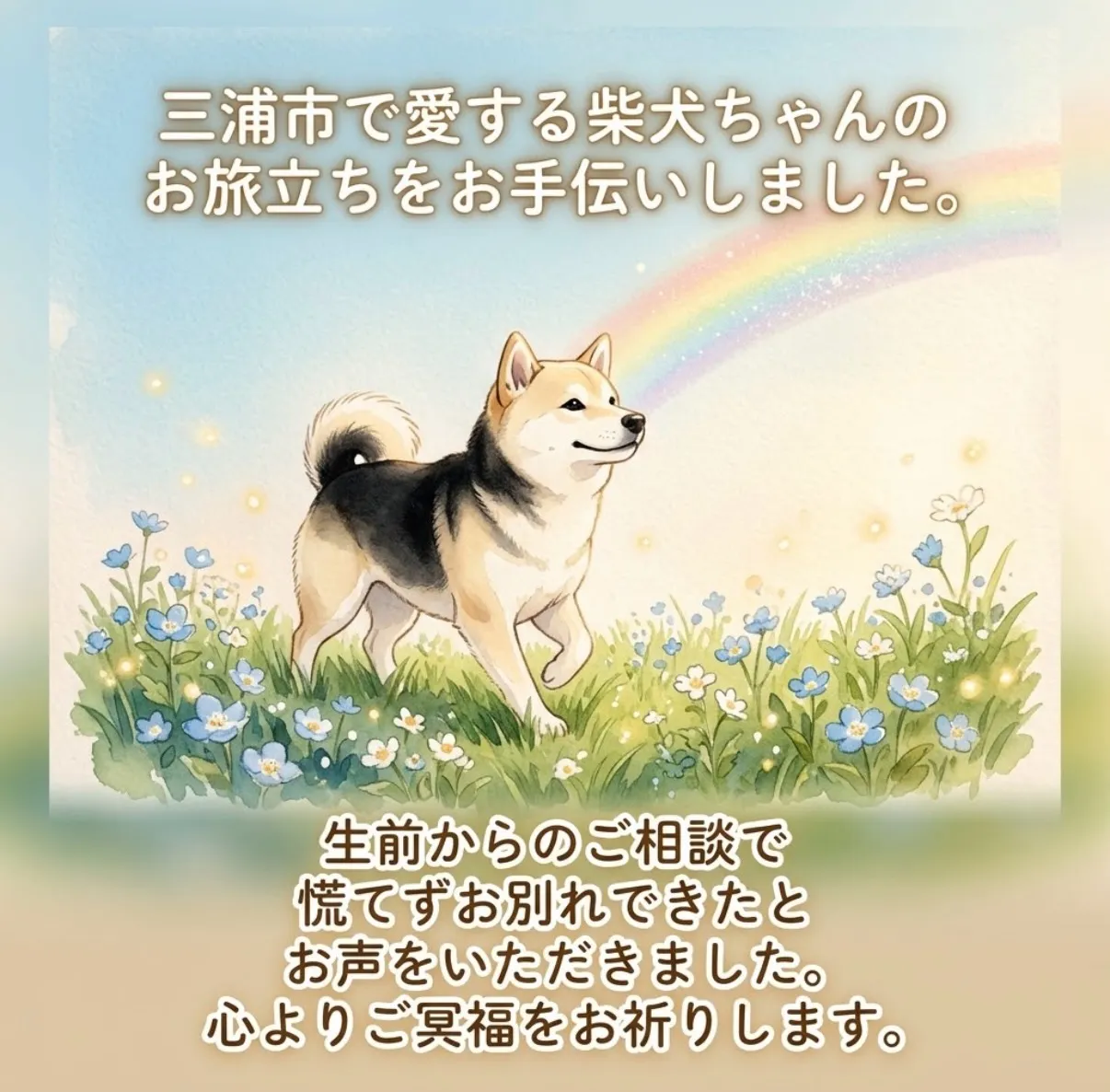 三浦市にて、大切な柴犬ちゃんのお旅立ちをお手伝いさせていただ...