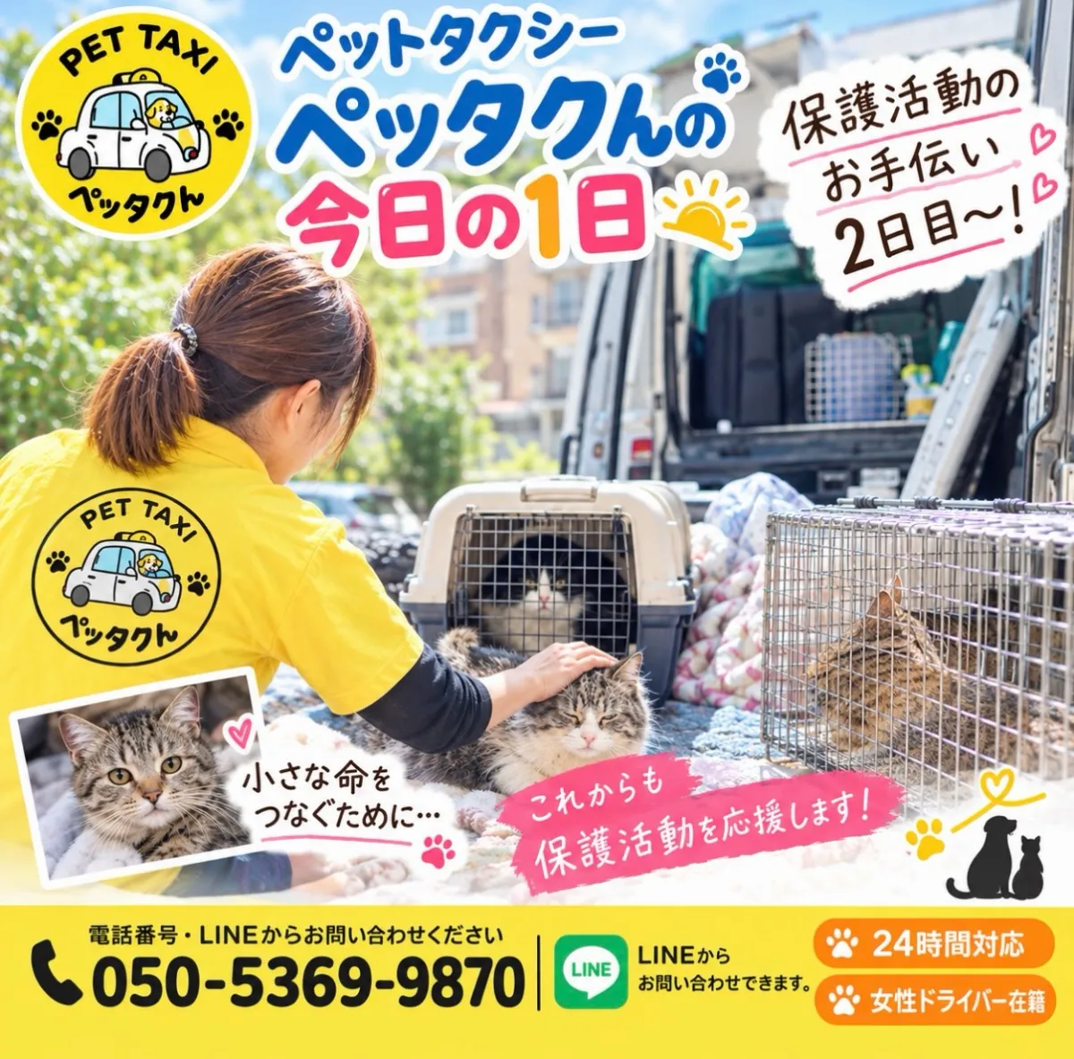 📣🐾 ペットタクシーペッタクんの今日の1日!保護活動のお手伝...