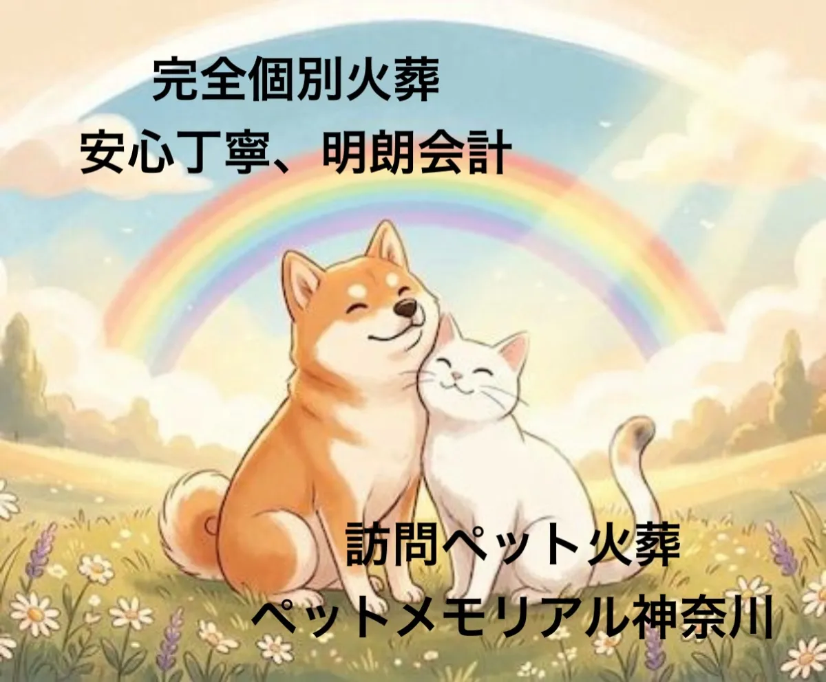 🌈 大切な家族との最後のお別れを、心を込めて。