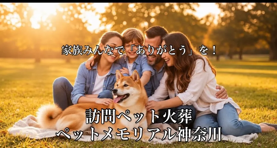 🌷 家族になってくれて、ありがとう。