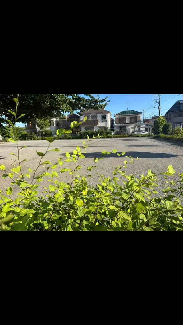 訪問ペット火葬ペットメモリアル神奈川