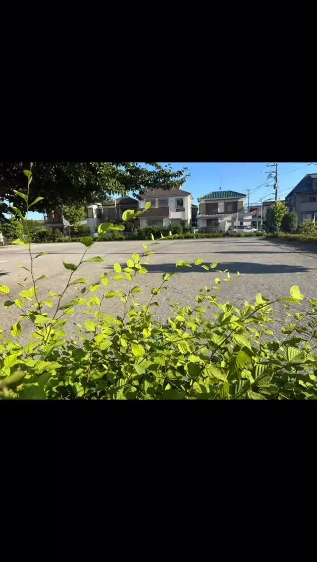 訪問ペット火葬ペットメモリアル神奈川#訪問 #ペット火葬#ペ...