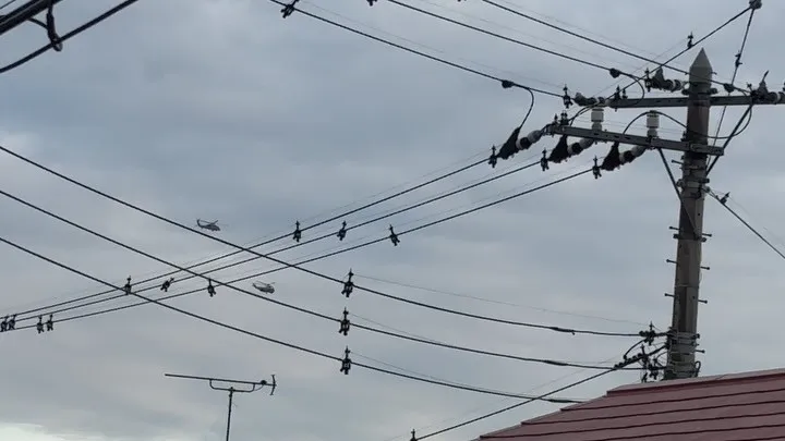 横須賀の空を見上げると、多くのヘリコプターが旋回している光景...