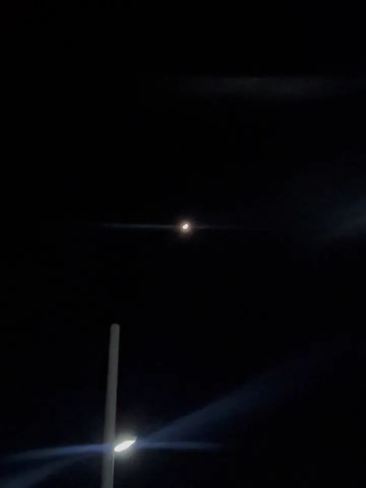 横浜市金沢区にてハムスターちゃんのペット火葬のお手伝いをさせ...