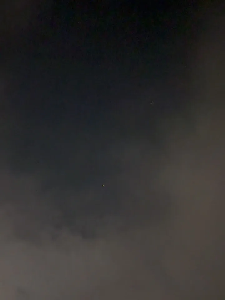 2026年2月、多くの家族にとって、大切なペットを見送る瞬間...