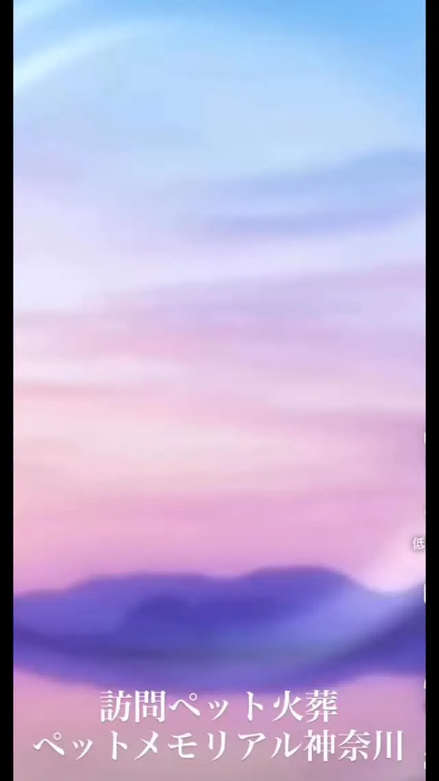 感動と感謝を伝えるペットメモリアル神奈川のペット葬儀は、最愛...