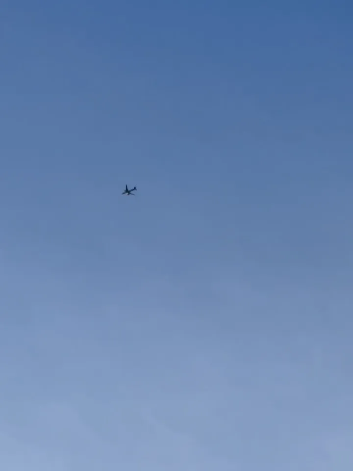 ペットが虹の橋を渡るとき、私たちの心には大きな空白が生まれま...