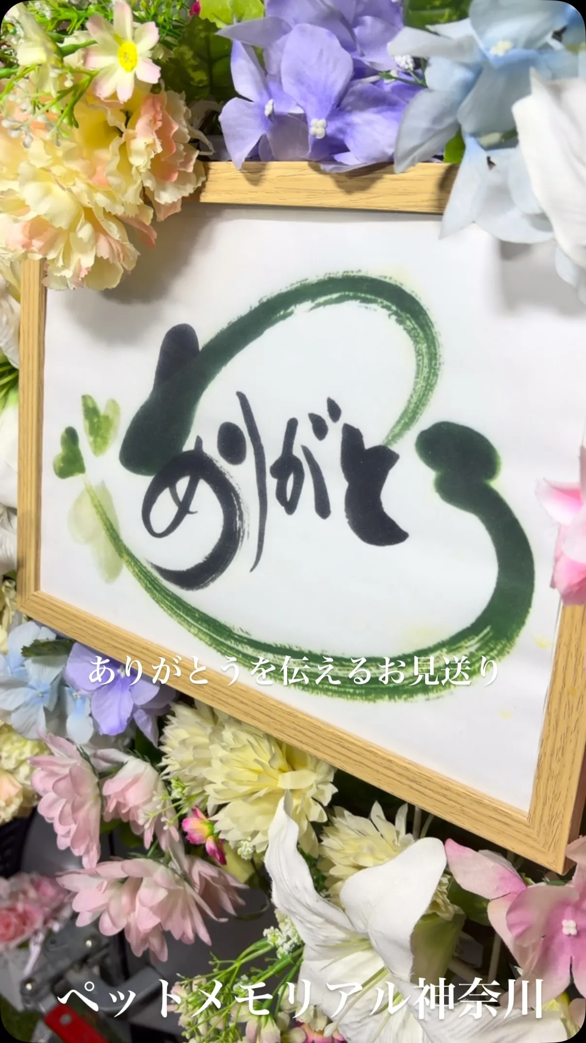 横須賀市湘南鷹取にて、大切な家族の一員であるハムスターちゃん...